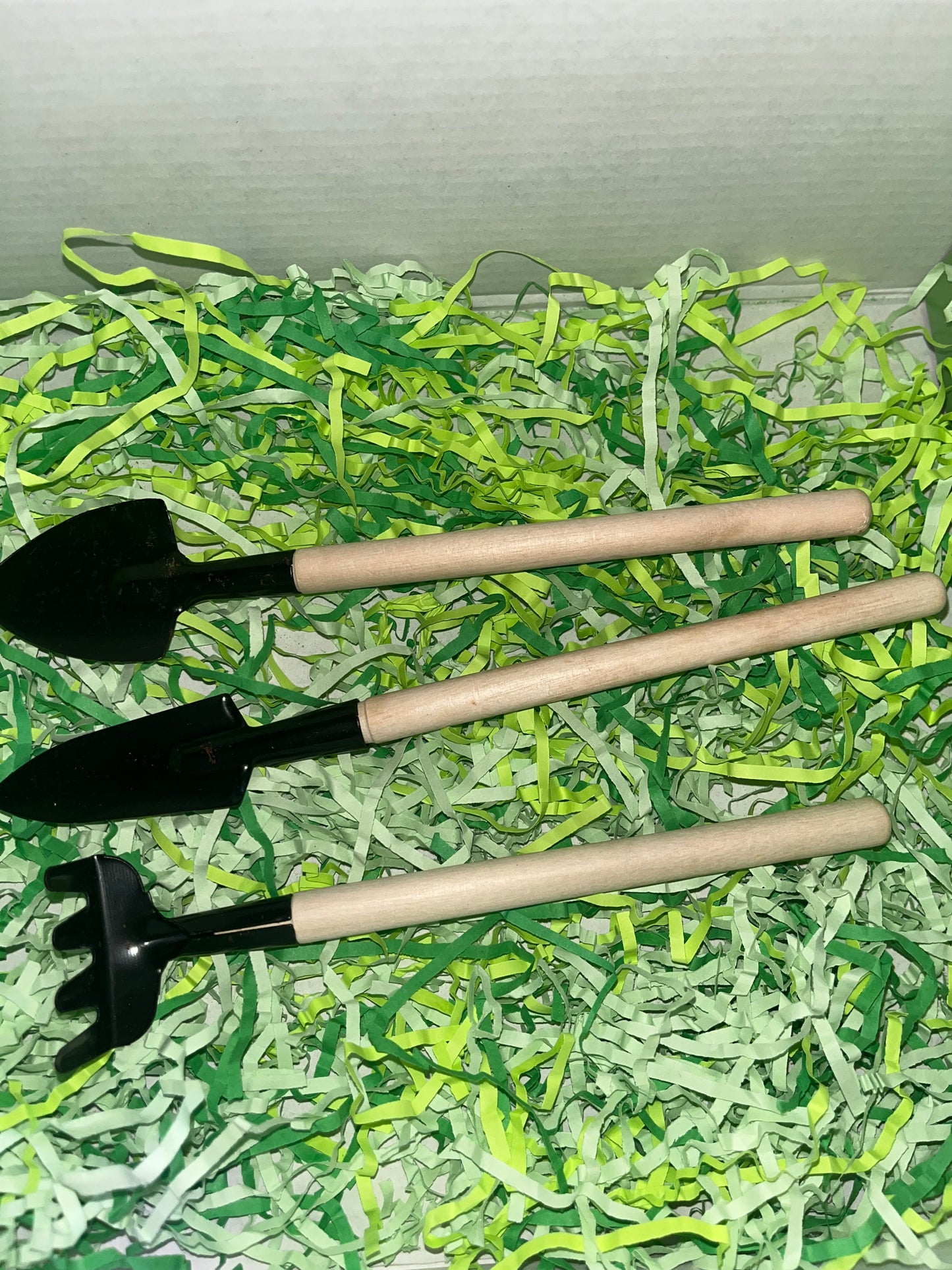 Grow fresh kitchen herbs at home with our easy seed starter kit and simple guide