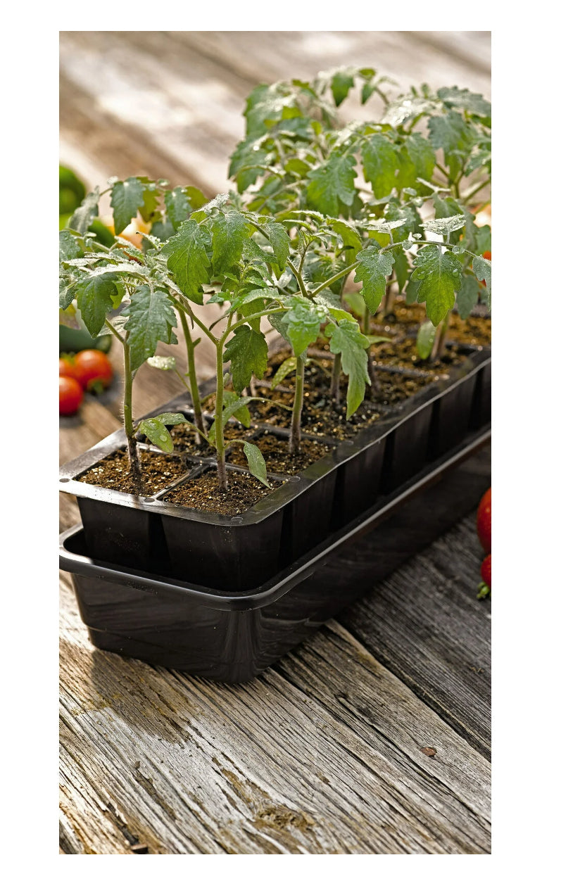 6 Slot Growth Container with Water Catch Tray