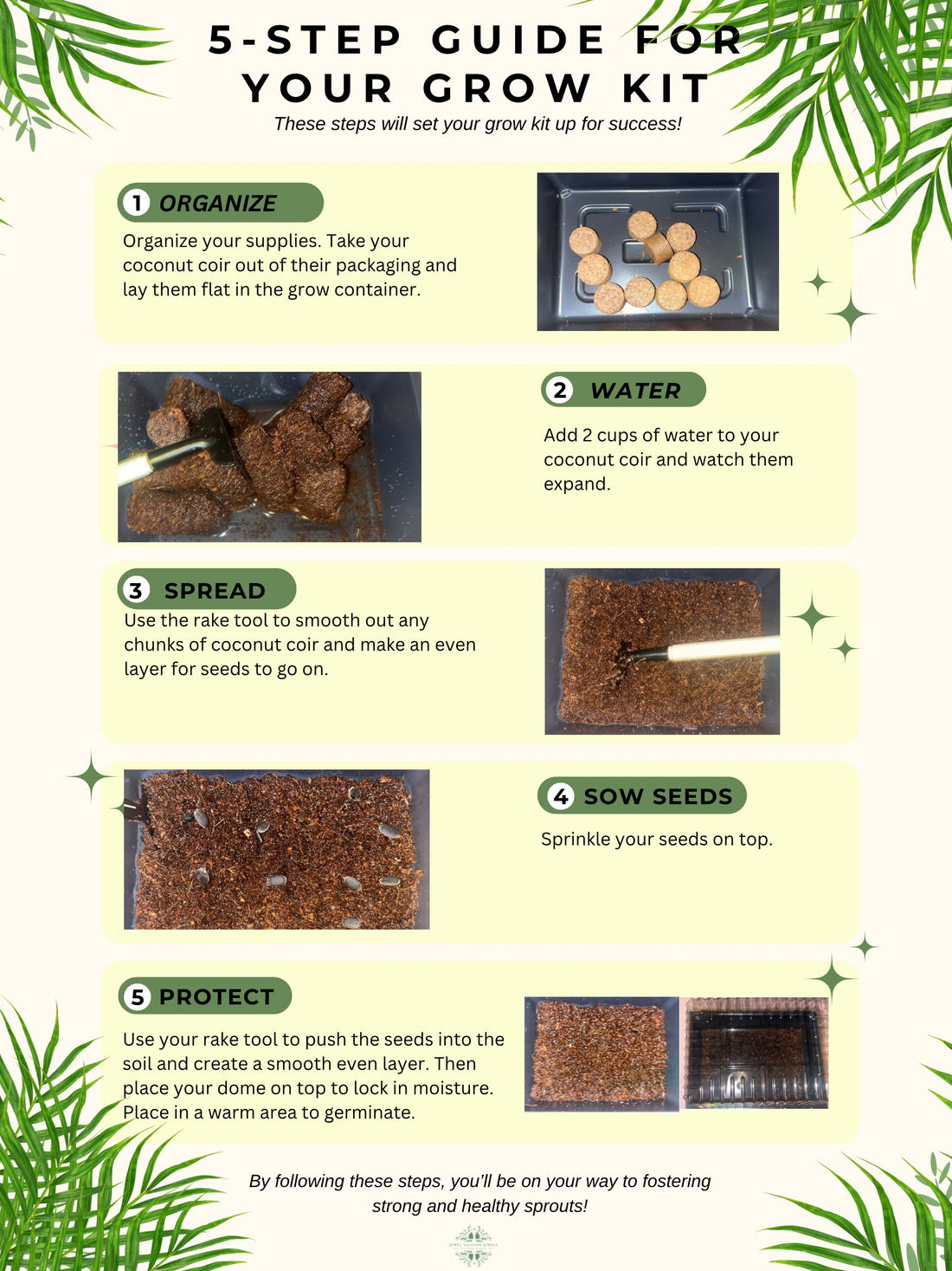 5 Must-Know Tips for Setting Up Your Seed Starter Kit