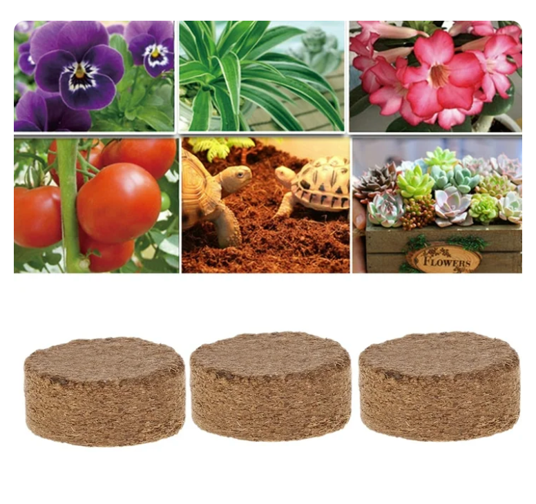 Coconut Coir
