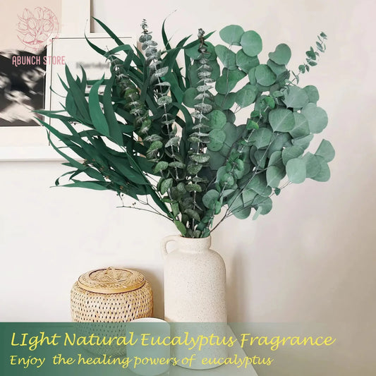 Dried Flowers Fresh Eucalyptus Leaves Green Plants for Shower Bundle Natural Eucalyptus Greenery Branches Vase Home Decoration