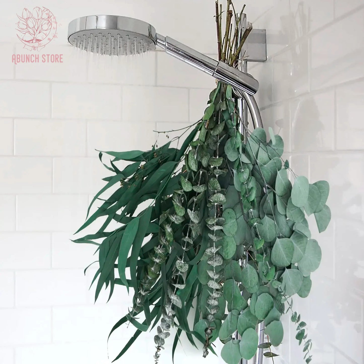 Dried Flowers Fresh Eucalyptus Leaves Green Plants for Shower Bundle Natural Eucalyptus Greenery Branches Vase Home Decoration